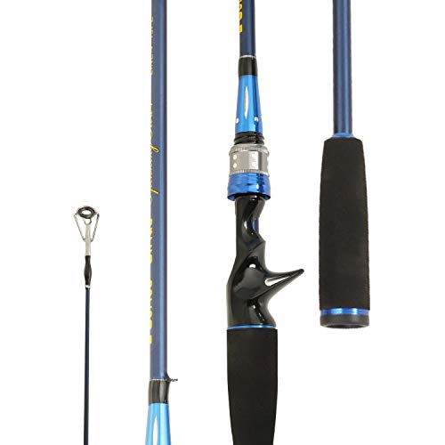 Entsport 2-Piece Portable Graphite Casting Fishing Rod
