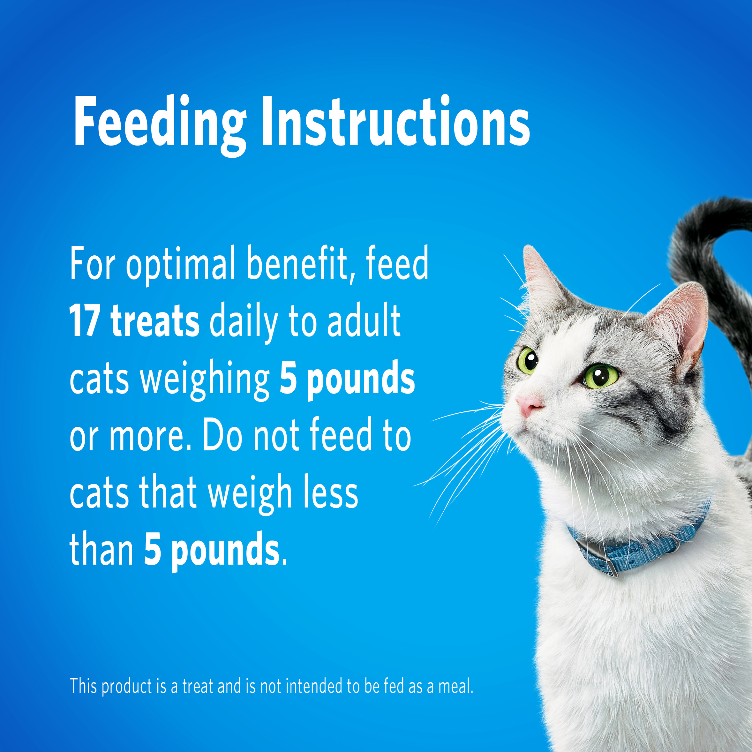 Purina DentaLife Chicken Cat Treats