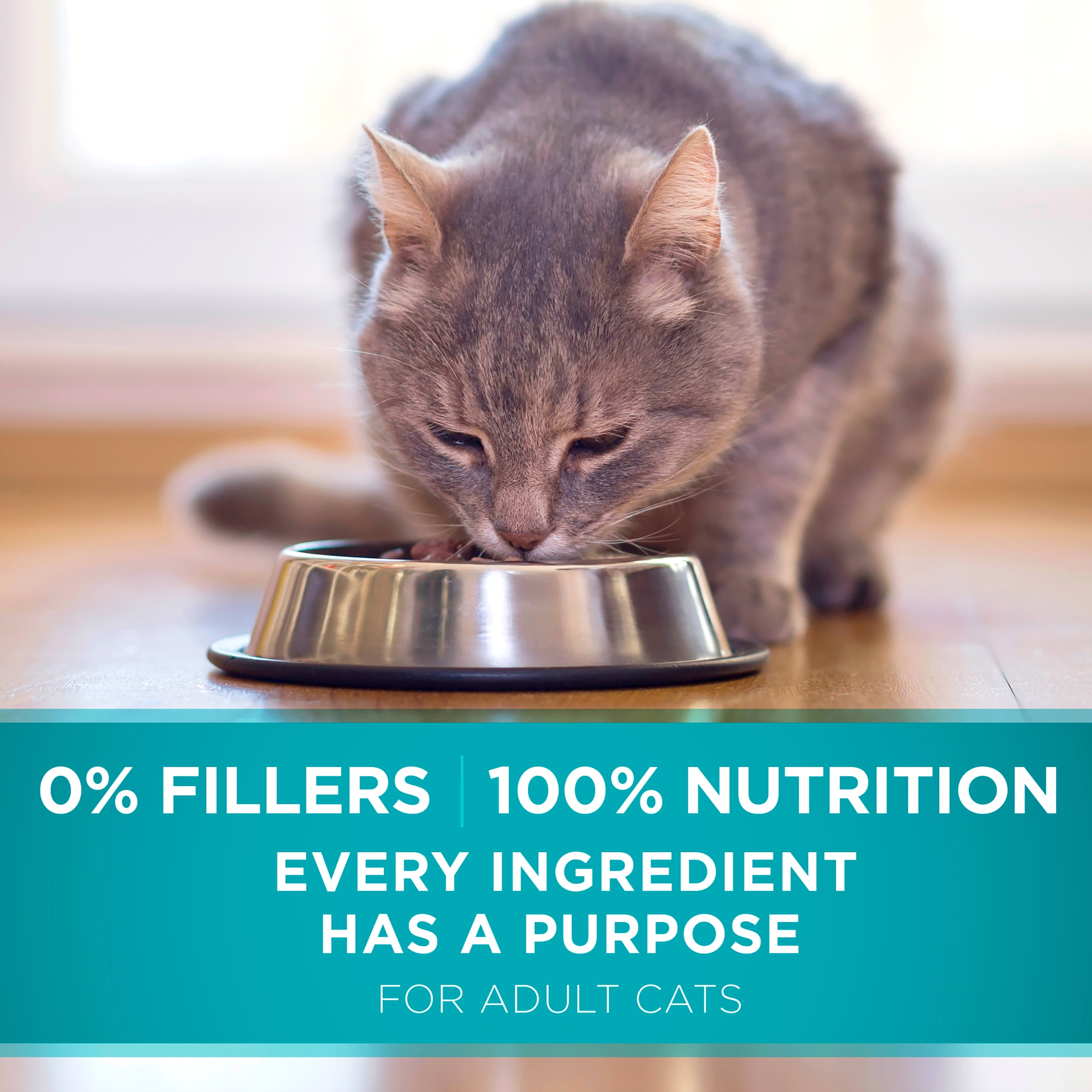 Purina One Chicken Dry Cat Food, 22 lb