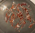 Discraft Big Z Anax Disc 173-174 Grams