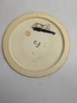 Innova Star Sidewinder Disc Golf Driver 172g