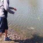 Dynamic Discs Golden Retriever | Disc Retrieval Device