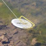 Dynamic Discs Golden Retriever | Disc Retrieval Device