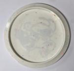 Discraft ESP Confetti Cicada - Limited Edition