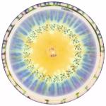 2021 Limited Edition USDGC Ring of Rocs Disc