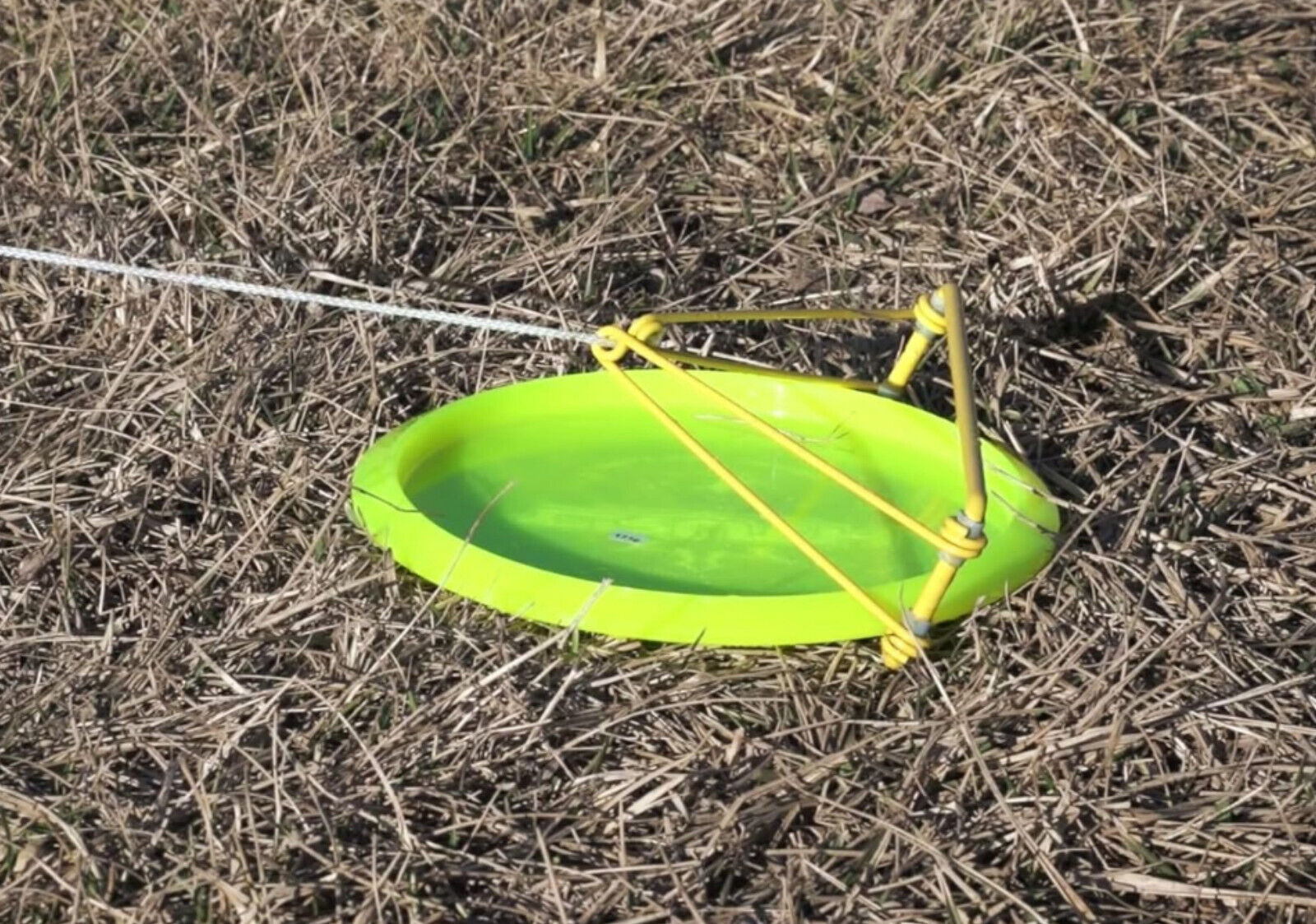DiscDiver Disc Golf Golden Retriever - White Accessory