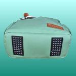 Picklefab Designer Pickleball Bags for Women | Canvas & Vegan Leather Pickle Ball Tote Bag with Cover Pockets for 4 Paddles | 12"x14"x5.5" Medium Tote Bag with Paddle Pocket & Fence Hook (Green)