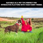 CYCLOTRON6-Pack Premium Pickleball Balls - USAP Approved, 40 Holes Outdoor/Indoor Pickle Balls with Bag, Perfectly Balanced, High Bounce True Flight, Pickle Ball for Tournament Play (Yellow)