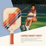 Dinkly Pickleball Paddles Set of 2, USAPA Approved Graphite/Fiberglass Pickleballs Racket, 2 Rackets, 4 Balls, 1 Protable Carry Bag, Pickle Ball Set for Men Women, Retro Twill