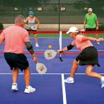 Hoverphenix Pickleball Set with Net for Driveway, Portable Regulation Size Pickleball Net System with Paddle Set of 4, Outdoor Pickleballs, Carry Bag, Weather Resistant Metal Frame