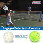 Furypiont 10 FT Mini Portable PickleballNet Equipment Set - Tennis Net for Driveway Backyard, 2 Pickleball Paddles, 8 Pickleballs and Potable Carry Bag,Pickleball Net for Beginner