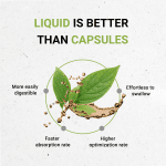 Alcohol-Free Ginkgo Biloba Extract for Cognitive Support