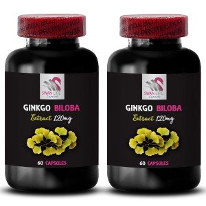 Ginkgo Biloba Extract for Mental Clarity - 120 Capsules