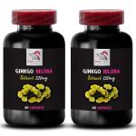 Ginkgo Biloba Extract for Weight Loss - 120 Capsules