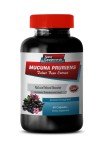 Mucuna Pruriens 15% Extract for Stress Relief