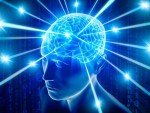 Mucuna Pruriens 15% Extract for Stress Relief