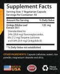 Ginkgo Biloba Extract 120mg for Mood Support