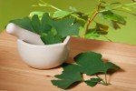 Ginkgo Biloba Extract for Weight Loss Support