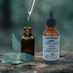 Memory Boosting Herbal Tincture for Focus & Learning