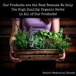 Memory Boosting Herbal Tincture for Focus & Learning