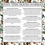 Memory Boosting Herbal Tincture for Focus & Learning