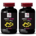 Ginkgo Biloba Extract for Memory - 2 Bottles