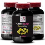 Ginkgo Biloba Extract for Memory - 2 Bottles