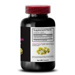 Ginkgo Biloba Extract for Memory - 2 Bottles
