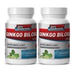 Ginkgo Biloba Extract 120mg for Mental Focus