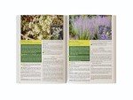 Herbal Remedies for Weight Loss Unlocked