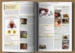 The Amish Diet: Simple Weight Loss Secrets