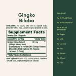 Ginkgo Biloba Memory Support Supplement, 120 mg
