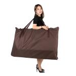 2025Luxury   Portable Sauna   Weight Loss Negative Ion Detox Therapy  Radiant  Rejuvenator  Foot Heat Plate