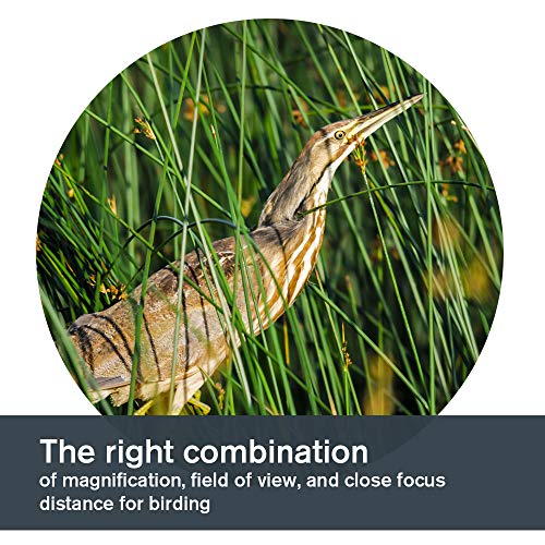 Celestron 8x42 Binoculars - Premium Birding Optics