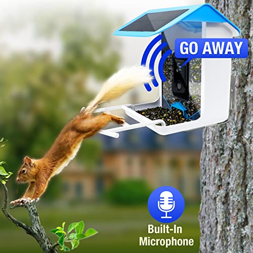 Intelligent Bird Feeder: Videos & Bird Detection Notification
