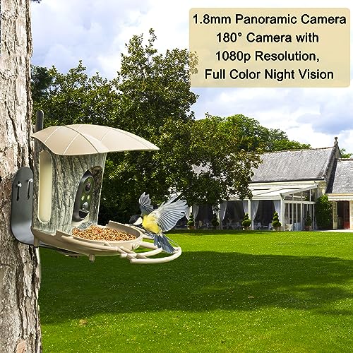 Smart Bird Feeder with AI Camera & Night Vision