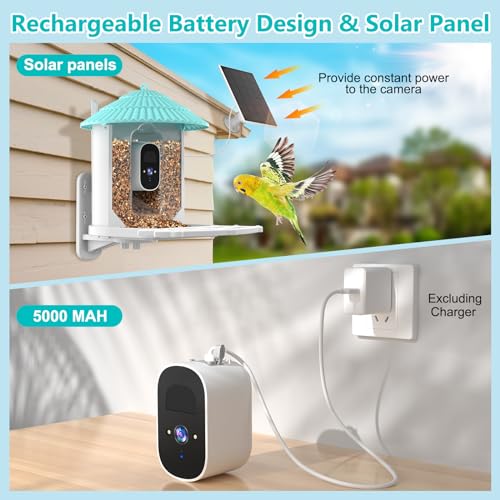 Solar-powered smart bird feeder with wireless camera