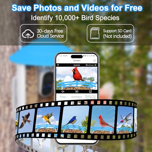 Smart Bird Feeder Camera: Auto Captures Bird Videos