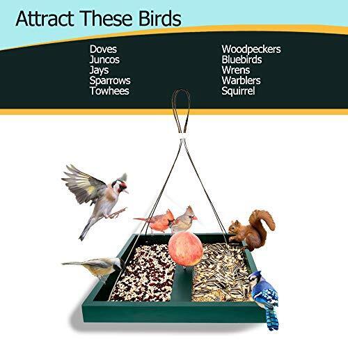 Large Hanging Garden Bird Feeder for Patio Homes