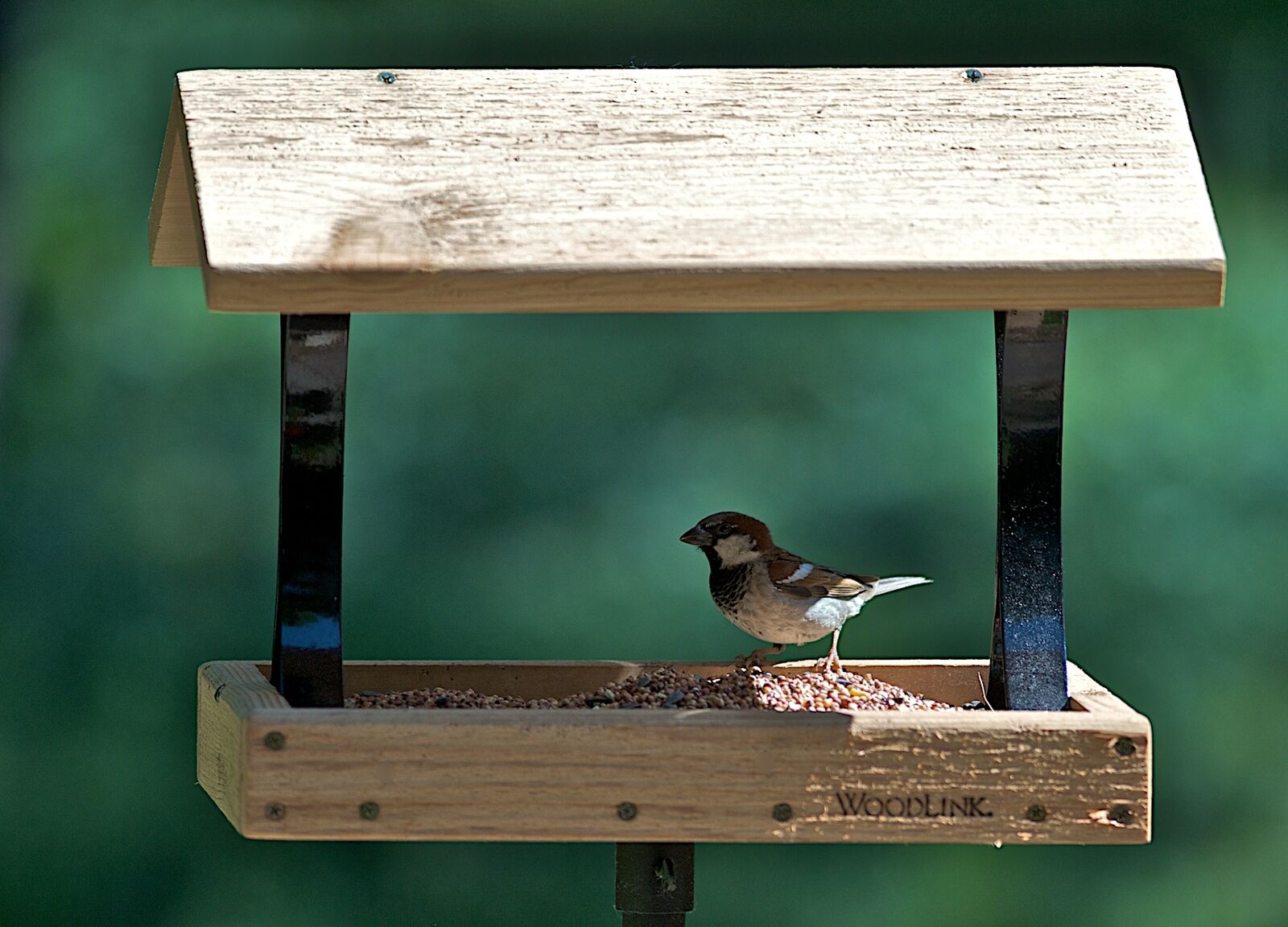 Cedar and Metal Woodlink Platform Bird Feeder