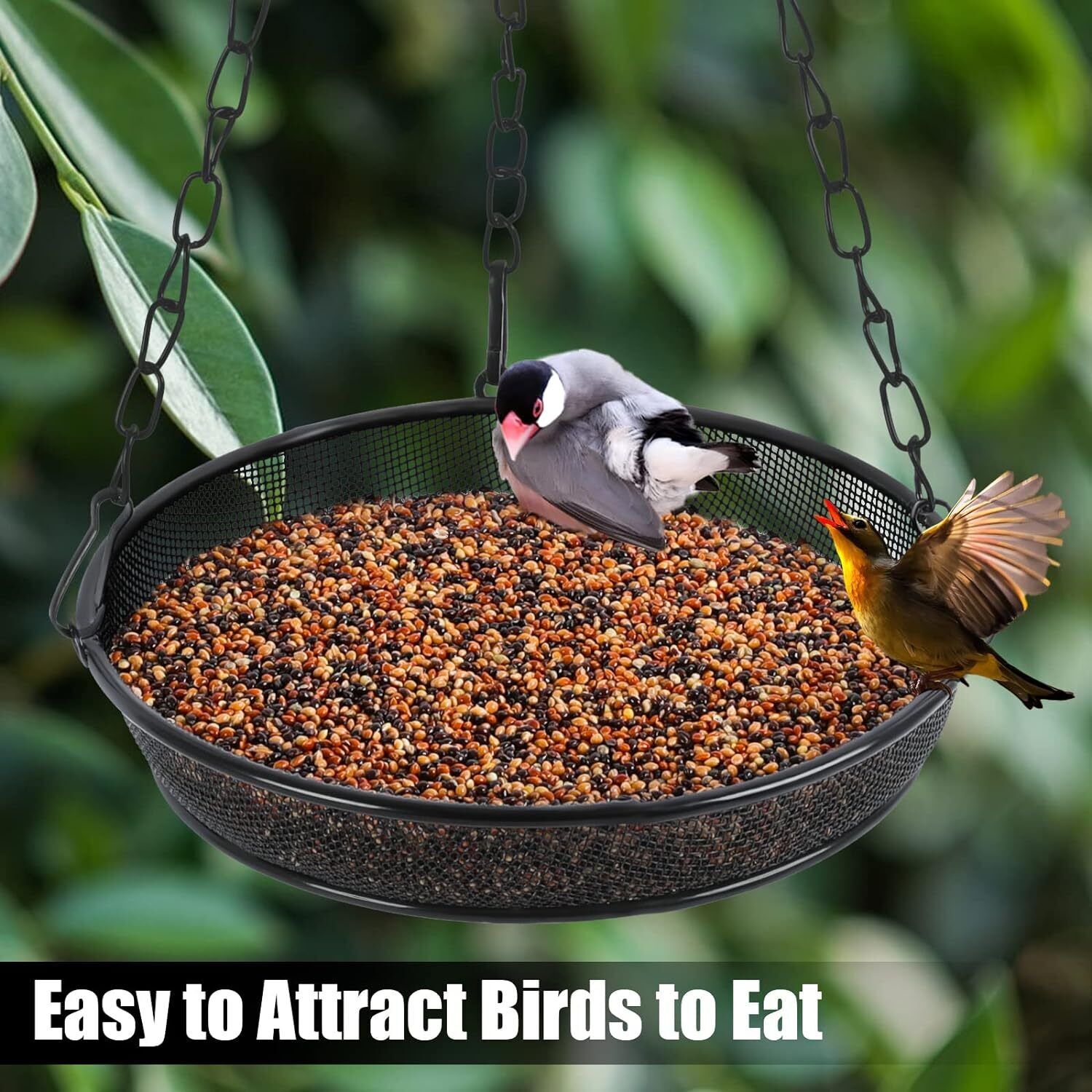 Outdoor Garden Hanging Bird Feeder Trays - 2Pack
