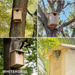 Large Cedar Owl House - Premium & Weatherproof Design
