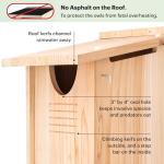 Large Cedar Owl House - Premium & Weatherproof Design