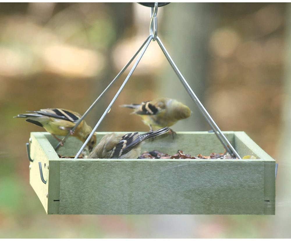 Small Hanging Platform Bird Feeder - Green Plastic