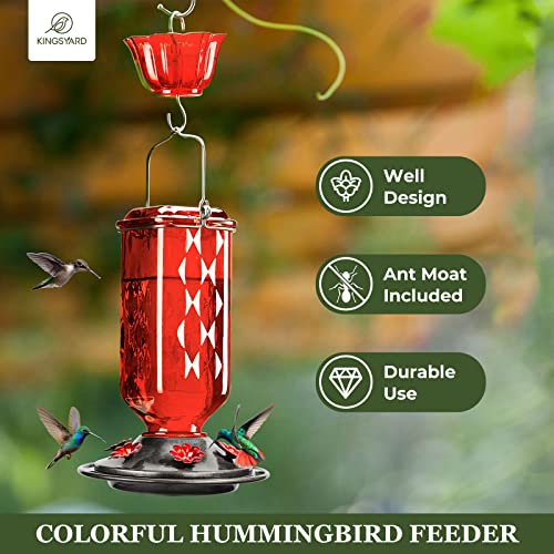 Glass Hummingbird Feeder with 6 Feeding Ports, 24oz