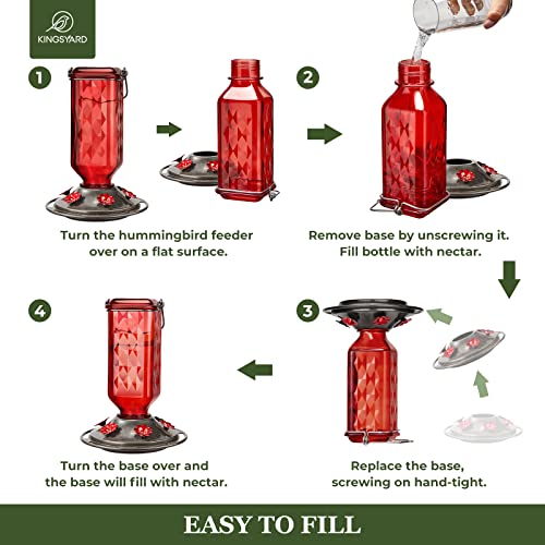 Glass Hummingbird Feeder with 6 Feeding Ports, 24oz