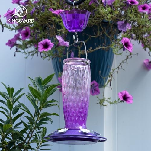 Kingsyard Hanging Glass Hummingbird Feeder 24oz - Pink/Purple
