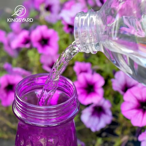 Kingsyard Hanging Glass Hummingbird Feeder 24oz - Pink/Purple