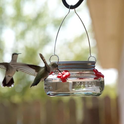 Clear Mason Jar Hummingbird Dish Feeder - 4