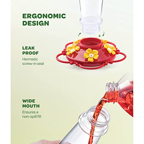 Hummingbird Feeder 10 oz - Set of 2, Outdoor Feeders